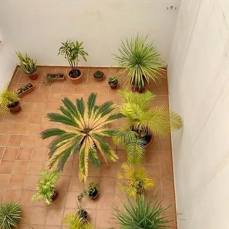 Apartamento En El Centro, Tranquilo Y Luminoso Malaga Exterior photo